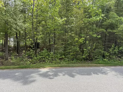 8340 Cordwood Trl #LOT 74, Cheboygan, MI 49721