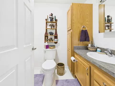 Bath - 10898 Fantasy Dr, Frederic, MI 49733 photo 2 of 3