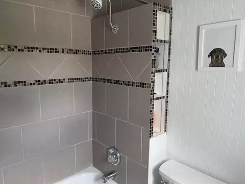 Bath - 213 E Wisner St, Alpena, MI 49707 photo 2 of 3