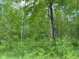 lot141 Montrose Dr #V/L, Mancelona, MI 49659