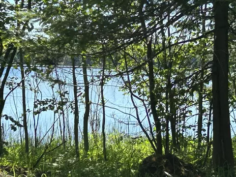 0 S 94 Ac S Wegwas Dr #0.94 ACRES, Trout Lake, MI 49793