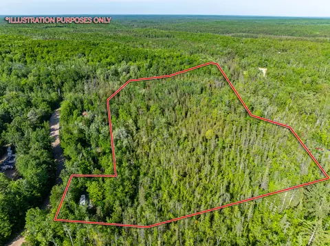 2477 Mont Gabriel Rd, Wolverine, MI 49799 photo 10