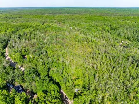 2477 Mont Gabriel Rd, Wolverine, MI 49799 photo 15