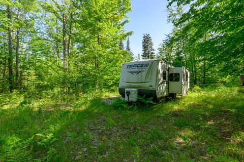 2477 Mont Gabriel Rd, Wolverine, MI 49799 photo 3