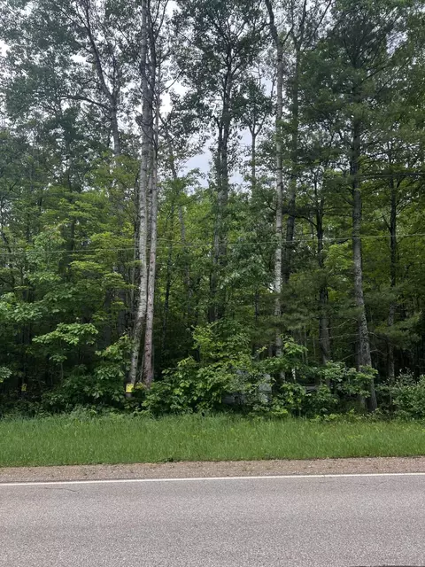 L163-165 N St. Helen Road #S 163 - 165, Roscommon, MI 48653