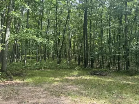 Exterior - 4702 W Pine Dr, Roscommon, MI 48653 photo 3 of 4