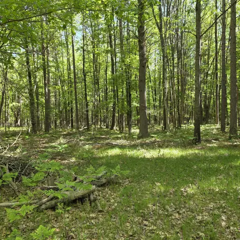 831 E London Rd, Harrisville, MI 48740