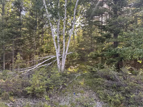 lot276 Whitesand Dr, Presque Isle, MI 49777
