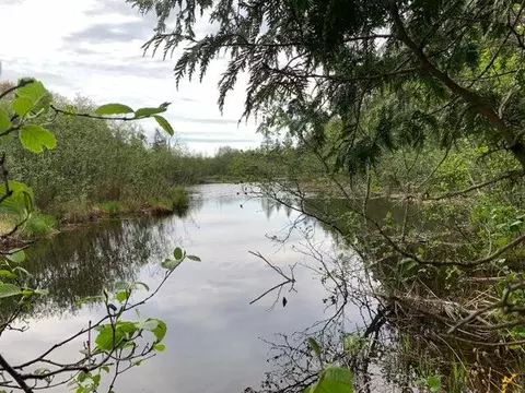 lot10 Little Cut Ln, Moran, MI 49760