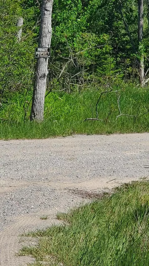 40 Ac Werth Rd #40 ACRES, Alpena, MI 49707