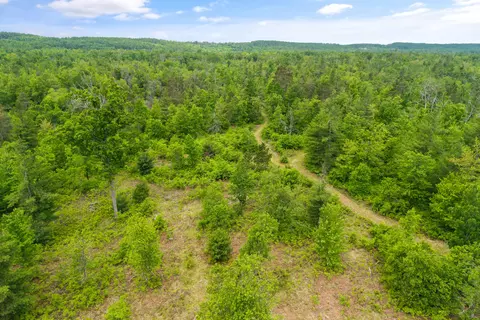 View/Area - 2401 Pearsall Rd, Fairview, MI 48621 photo 6 of 6