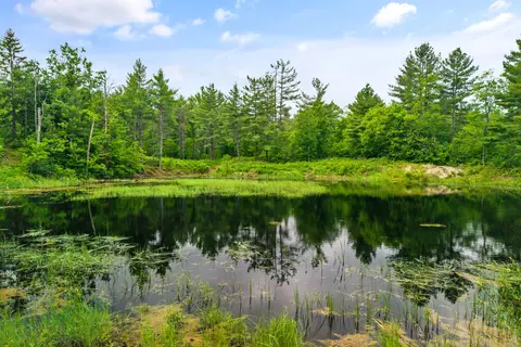 View/Area - 2401 Pearsall Rd, Fairview, MI 48621 photo 1 of 6