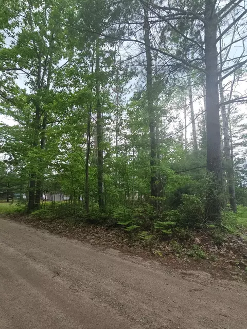2195 Lake Dr, Mio, MI 48647 photo 11