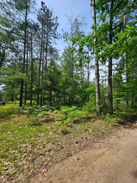 2195 Lake Dr, Mio, MI 48647 photo 5