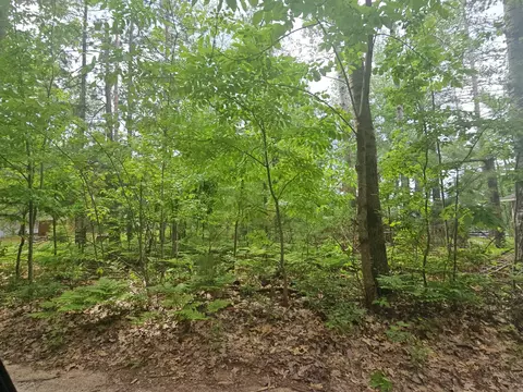 2195 Lake Dr, Mio, MI 48647 photo 12