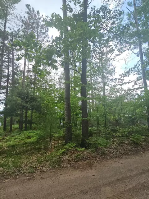 2195 Lake Dr, Mio, MI 48647 photo 9