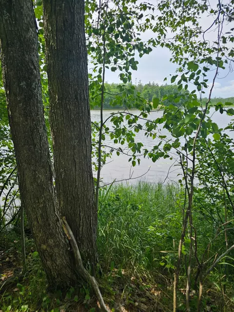 2195 Lake Dr, Mio, MI 48647 photo 7