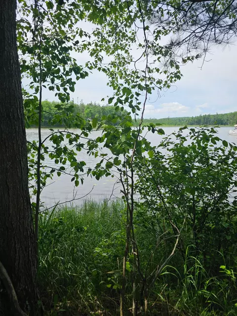 2195 Lake Dr, Mio, MI 48647
