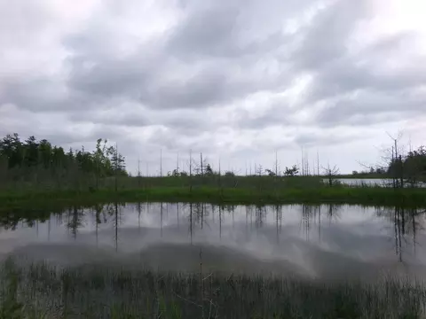 3305 El Cajon Beach Rd, Alpena, MI 49707