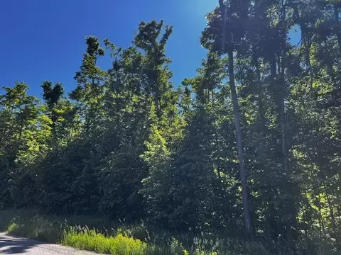 10 4 Ac Brudy Rd #10.4 ACRES, Wolverine, MI 49799 photo 3