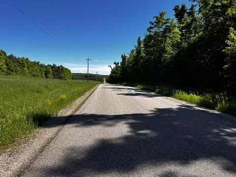 10 4 Ac Brudy Rd #10.4 ACRES, Wolverine, MI 49799 photo 8