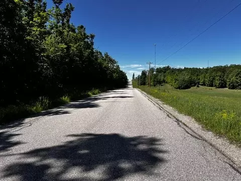 10 4 Ac Brudy Rd #10.4 ACRES, Wolverine, MI 49799 photo 9