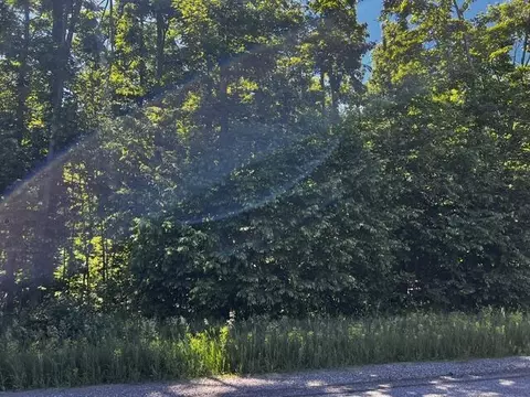 10 4 Ac Brudy Rd #10.4 ACRES, Wolverine, MI 49799 photo 4