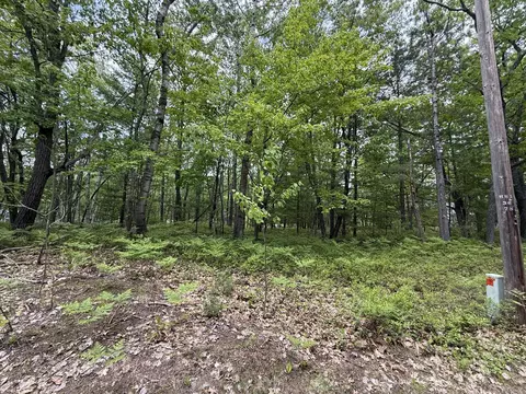 lot12 Joy Ln, Ocqueoc, MI 49759