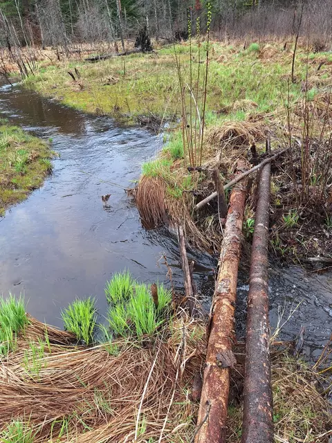 15450 Wildlife Trl, Wolverine, MI 49799