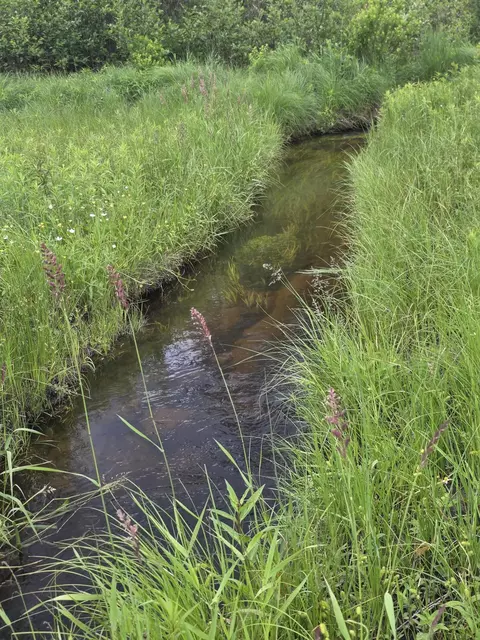 15450 Wildlife Trl, Wolverine, MI 49799