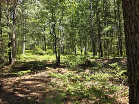 15450 Wildlife Trl, Wolverine, MI 49799