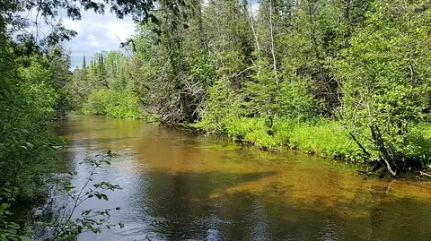 lot30 W Batterson Rd, Frederic, MI 49733