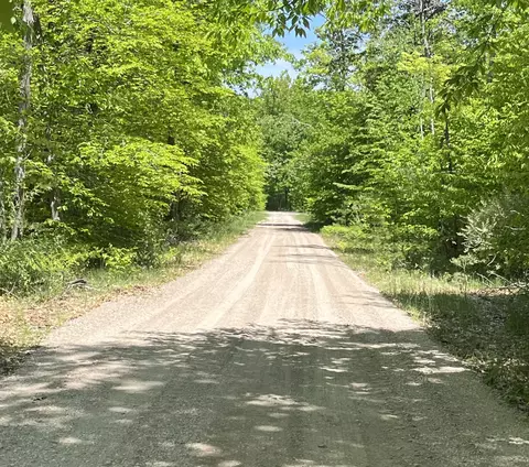 Parcel A Old Oak Road #6 ACRES, Cheboygan, MI 49721