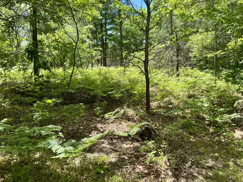 Exterior - 11285 Pebble Dr, Roscommon, MI 48653 photo 6 of 6