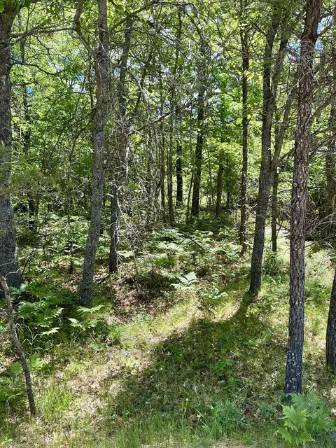 Exterior - 11285 Pebble Dr, Roscommon, MI 48653 photo 4 of 6
