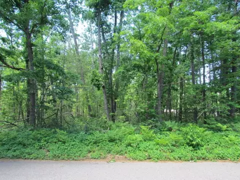 lot S 4-6 Marion St, Lewiston, MI 49756