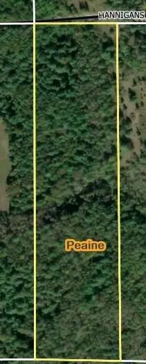 10 17 Ac Hannigan Rd #10.17 ACRES, Beaver Island, MI 49782