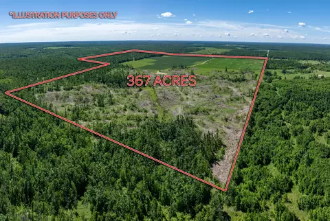 8766 Beckett Rd #367.20 ACRES, Johannesburg, MI 49751