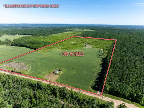 9304 Waters Rd #77.95 ACRES, Johannesburg, MI 49751