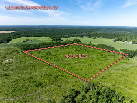 40 Ac Waters Rd #40 ACRES, Johannesburg, MI 49751