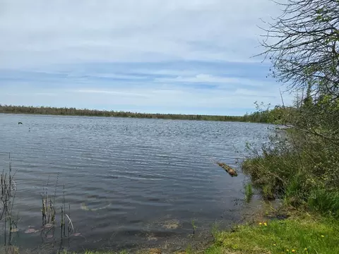6732 Kelley Dr, Millersburg, MI 49759