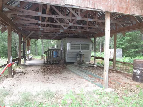 15282 Wildlife Trl, Wolverine, MI 49799