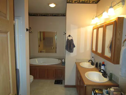 Bath - 7830 Red Pine Trl, Alanson, MI 49706 photo 2 of 4