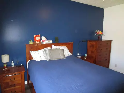 Bedroom - 7830 Red Pine Trl, Alanson, MI 49706 photo 2 of 4