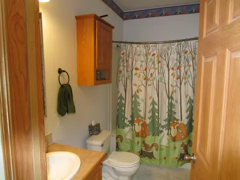 Bath - 7830 Red Pine Trl, Alanson, MI 49706 photo 1 of 4