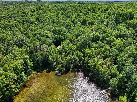 View/Area - 1070 S Silver Pl, Indian River, MI 49749 photo 7 of 10