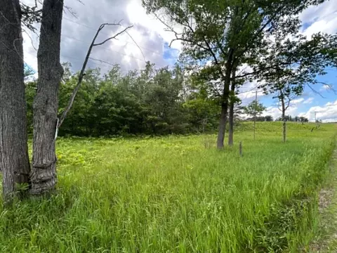 Parcel 1 Weaver Road, Comins, MI 48619 photo 3