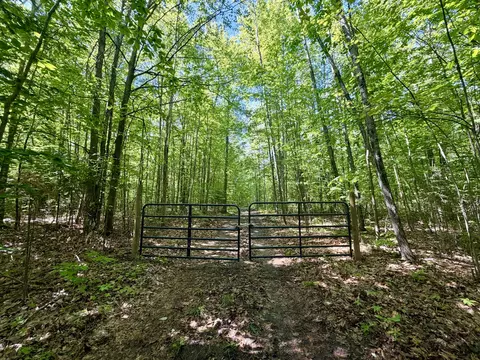10 06 Ac Jones Rd, Glennie, MI 48737