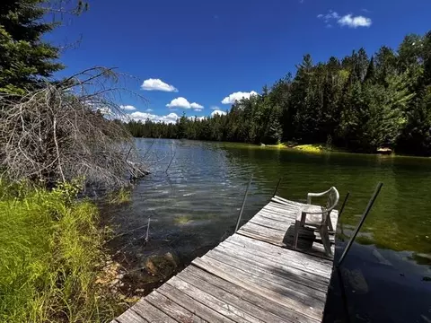 lot37 38 Shore Line Dr #14703 & 14709, Wolverine, MI 49799