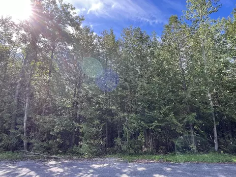 lot40 Firhaven Ct, Presque Isle, MI 49777